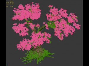 forest - maple tree 19 3D Модель