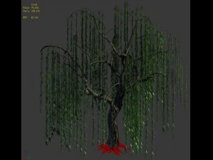 forest - willow 02 3D Model