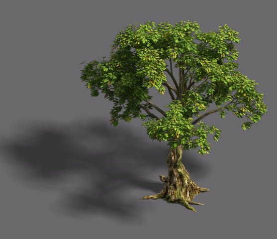 forest - tree 20 3D Modell .c4d .max .obj .3ds .fbx .stl .blend