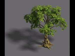 forest - tree 20 3D Model
