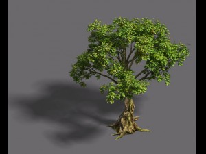 forest - tree 20 3D Modell