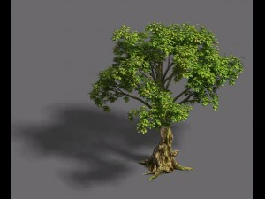 forest - tree 20 3D Model