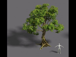 forest - tree 20 3D Modell