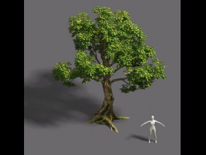 forest - tree 20 3D Modell