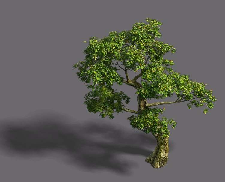 forest - tree 21 3D Model .c4d .max .obj .3ds .fbx .stl .blend 
