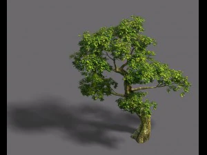 floresta - árvore 21 Modelo 3D