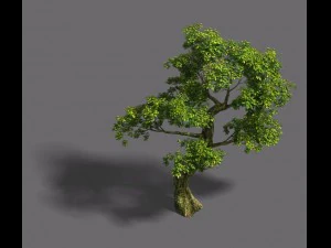 forest - tree 21 3D Model