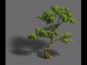 forest - tree 21 3D Model