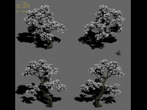 forest - tree 21 3D 模型