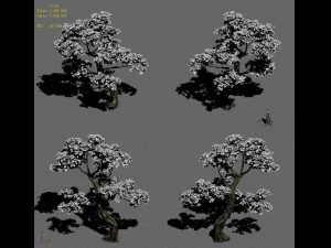 forest - tree 21 3D Model