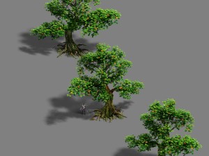 forest - tree 22 3D Model