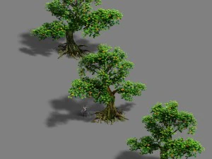 森 - 木 22 3Dモデル