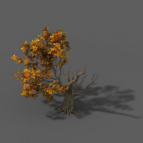 forest - trees 13 3D Модель .c4d .max .obj .3ds .fbx .stl .blend 
