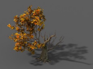 forest - trees 13 3D Модель