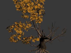 forest - trees 13 3D Модель