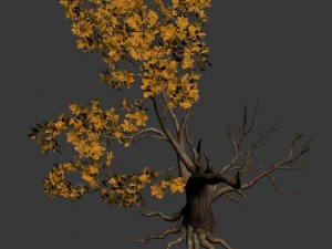 forest - trees 13 3D Model