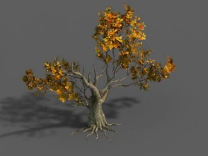 las - drzewa 14 Model 3D