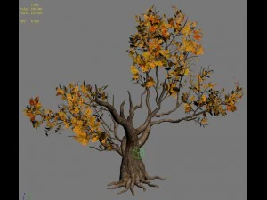 forest - trees 14 3D Model