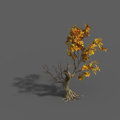 forest - trees 15 3D Model .c4d .max .obj .3ds .fbx .stl .blend 