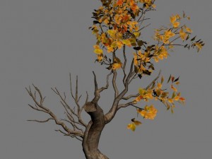 forest - trees 15 3Dモデル