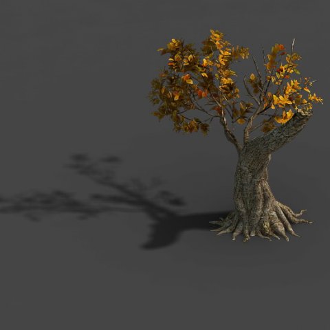 forest - trees 16 3D Модель .c4d .max .obj .3ds .fbx .stl .blend 