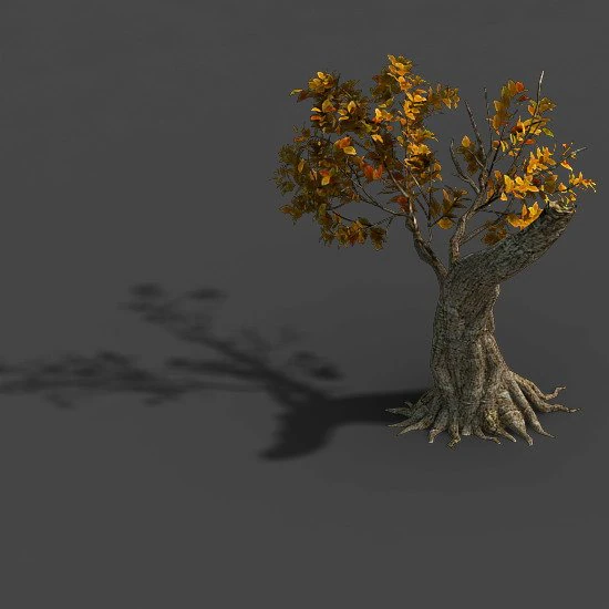 forest - trees 16 3D Model .c4d .max .obj .3ds .fbx .stl .blend