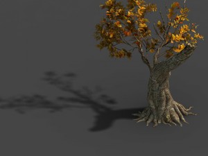forest - trees 16 3D Model