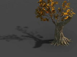 bos - bomen 16 3D Model