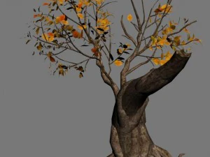 forest - trees 16 3D Model