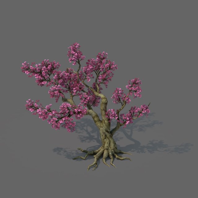 forest - peach blossom tree 02 Modelo 3D .c4d .max .obj .3ds .fbx .stl .blend 