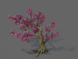 forest - peach blossom tree 02 3D Модель