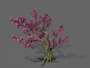 foresta - albero di fiori di pesco 02 Modello 3D