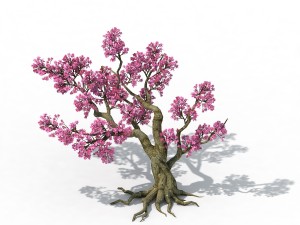 forest - peach blossom tree 02 Modelo 3D