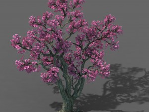 forest - peach tree 03 3D Model