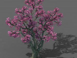 forest - peach tree 03 3D Model