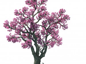 forest - peach tree 03 3Dモデル