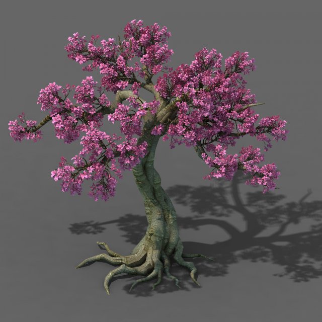 forest - peach blossom tree 04 Model 3D .c4d .max .obj .3ds .fbx .stl .blend 