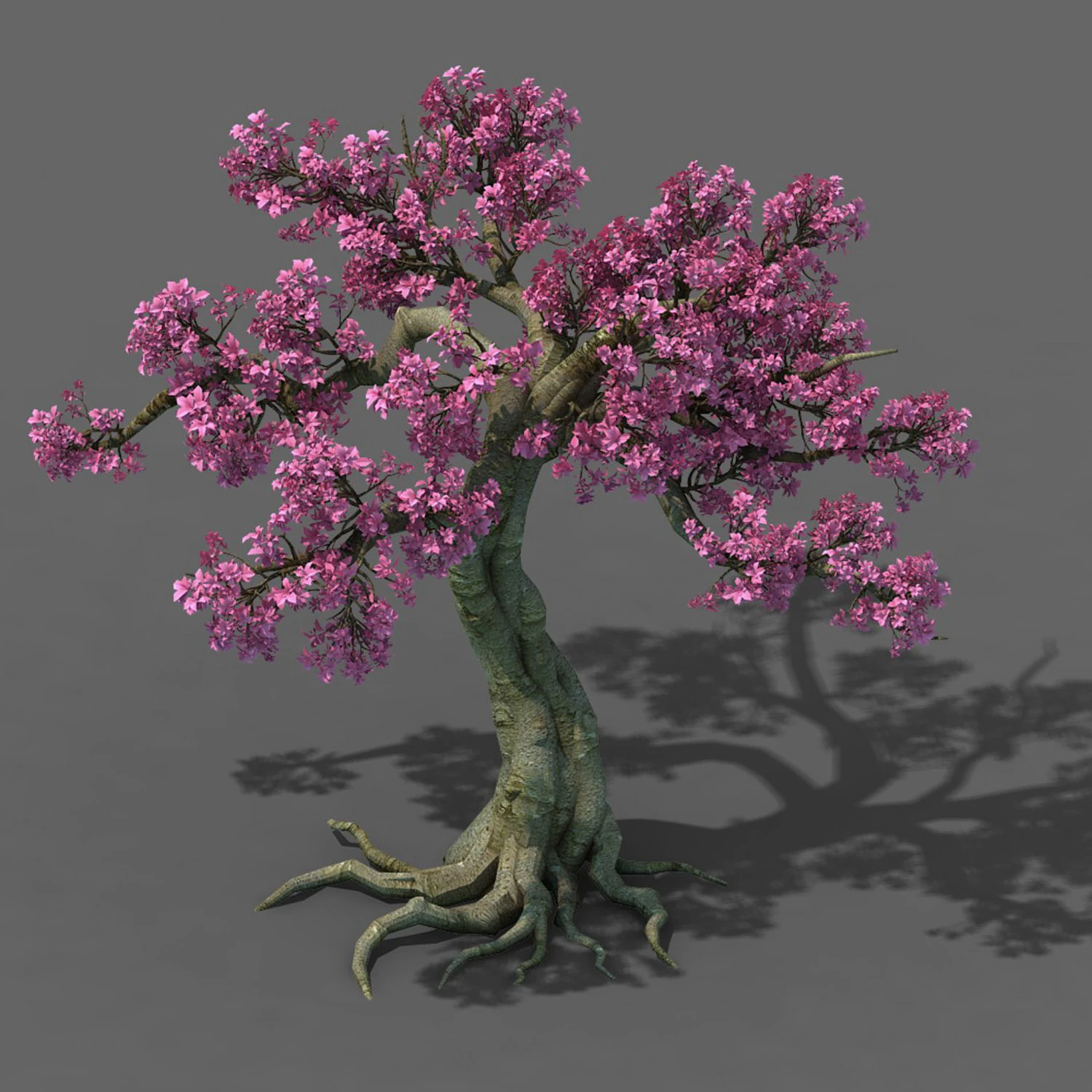 forest - peach blossom tree 04 3D Model .c4d .max .obj .3ds .fbx .stl .blend