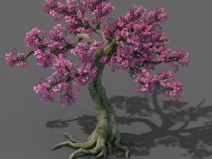 forest - peach blossom tree 04 3D Model