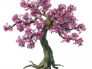forest - peach blossom tree 04 Model 3D