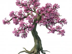 forest - peach blossom tree 04 3D Model