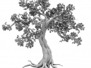 forest - peach blossom tree 04 Model 3D
