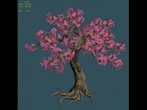 forest - peach blossom tree 04 Model 3D