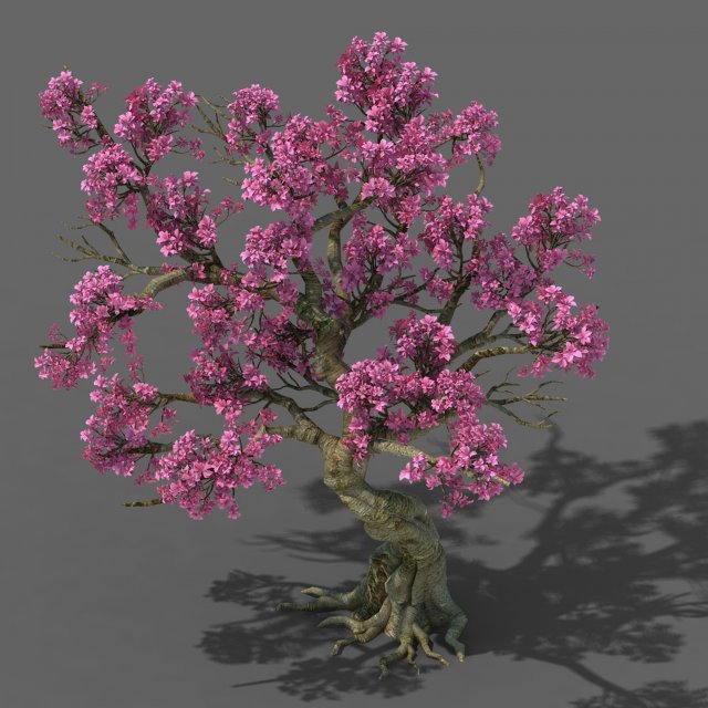 forest - peach tree 05 Modèle 3D .c4d .max .obj .3ds .fbx .stl .blend 