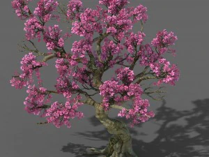 숲 - 복숭아 나무 05 3D 모델