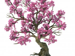 forest - peach tree 05 Modèle 3D