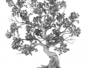 forest - peach tree 05 Modèle 3D