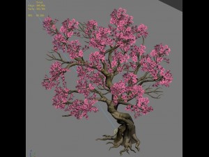 forest - peach tree 05 Modèle 3D