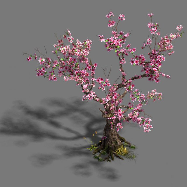 forest - peach blossom tree 21 3D Модель .c4d .max .obj .3ds .fbx .stl .blend 