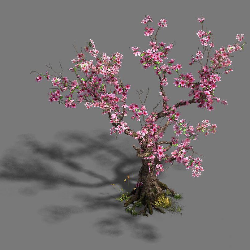forest - peach blossom tree 21 3D Model .c4d .max .obj .3ds .fbx .stl .blend